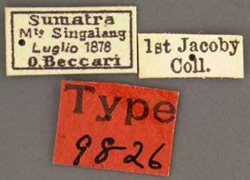 Media type: image; Entomology 9826   Aspect: labels
